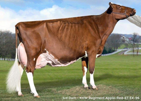 Farnear TBR Aria Adler-ET *RC EX-96-2E