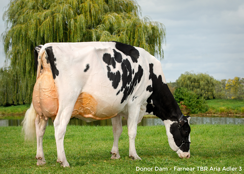 Farnear TBR Aria Adler-ET *RC EX-96-2E