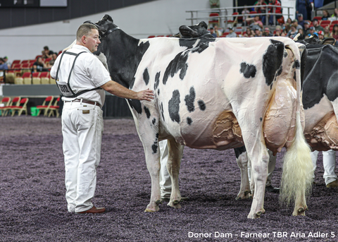 Farnear TBR Aria Adler-ET *RC EX-96-2E