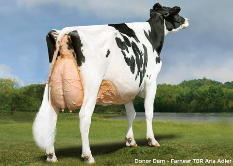 Farnear TBR Aria Adler-ET *RC EX-96-2E