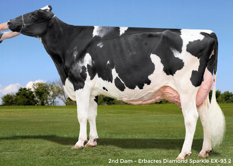 Erbacres Sprinkle-ET VG-87