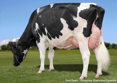 Erbacres Sprinkle-ET VG-87