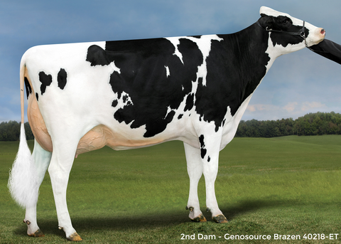 Genosource Brinkley 47580-ET VG-86