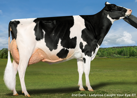 Ms GS Caught Your Heart-ET EX-90