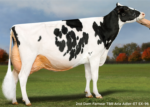 Farnear Adler-Arla-ET *RC EX-94
