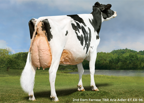 Farnear Adler-Arla-ET *RC EX-94