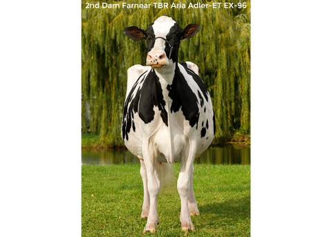 Farnear Adler-Arla-ET *RC EX-94