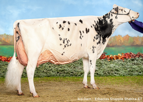 Erbacres Sprinkle-ET VG-87