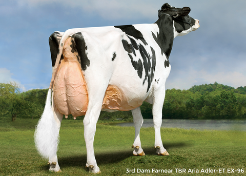 Farnear Adele 3124-ET *RC VG-85-2YR