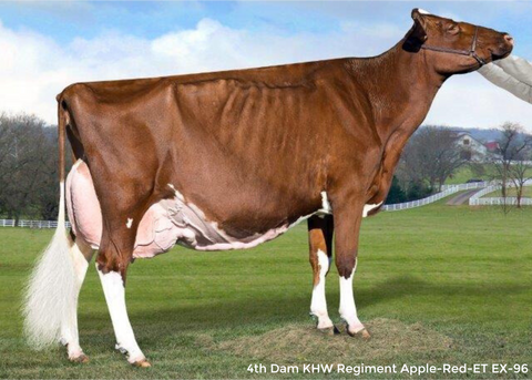 Farnear Adler-Arla-ET *RC EX-94