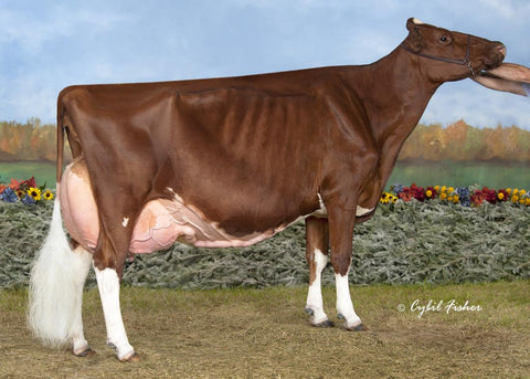 Apple-PTS Ariki-Red-ET EX-90 EX-MS