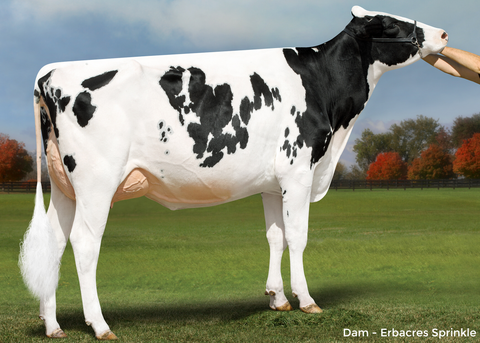 Erbacres Sprinkle-ET VG-87