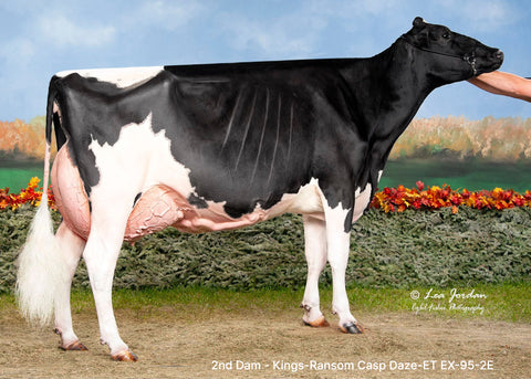 Kings-Ransom Hpn Drapper-ET EX-91