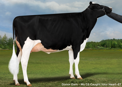Ms GS Caught Your Heart-ET EX-90
