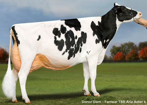 Farnear TBR Aria Adler-ET *RC EX-96-2E
