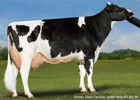 Farnear Adler-Arla-ET *RC EX-94