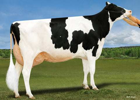 Ms GS Caught In The Act-ET EX-92 (92-MS)