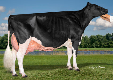 Farnear Babes Cry-ET EX-94