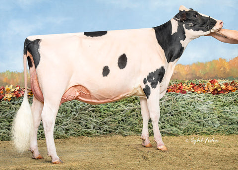 Genosource Livewire-ET VG-87-2YR