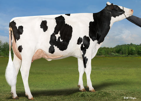 AOT Doc Hooligan-ET VG-87