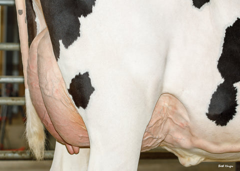 AOT Doc Hooligan-ET VG-87