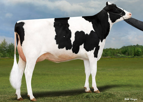 Ms GS Caught In The Act-ET EX-92 (92-MS)