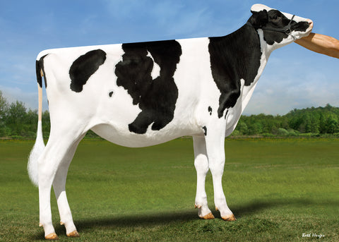Genosource Have At It-ET VG-87-2YR 89-MS