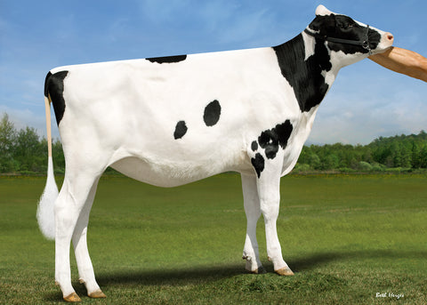Genosource Livewire-ET VG-86