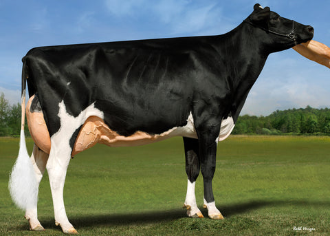 Dreamridge Smoke Show EX-92