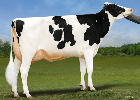 Ladys Lambda Lorrie-ET VG-88-2YR