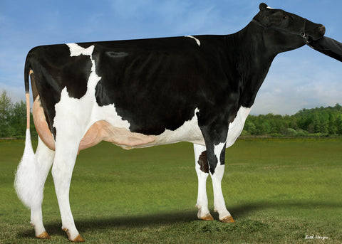 Miss GS Caught A Vibe-ET VG-88 2 YR