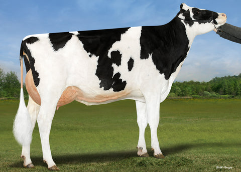 Genosource CaughtIn Love-ET *PC VG-88 2 YR