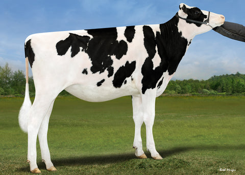 Genosource Caught Dating-ET