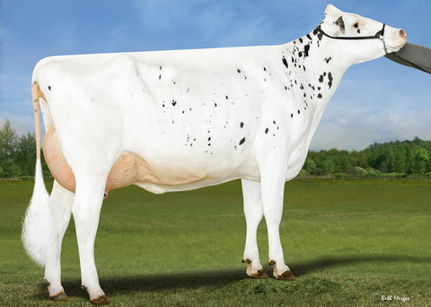Milksource KD Snowflake-ET VG-87-2YR