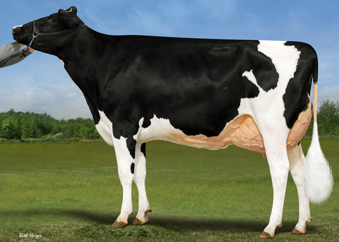 Kingsway Josephine-ET EX-91