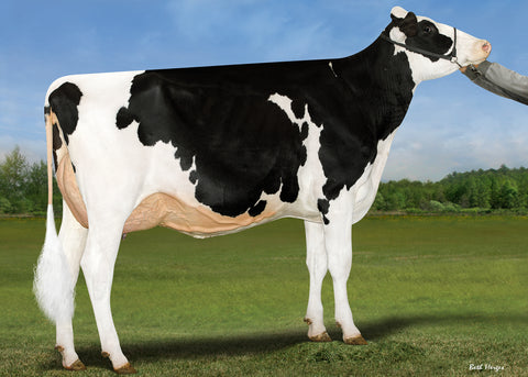 Genosource Drop A Line-ET VG-88