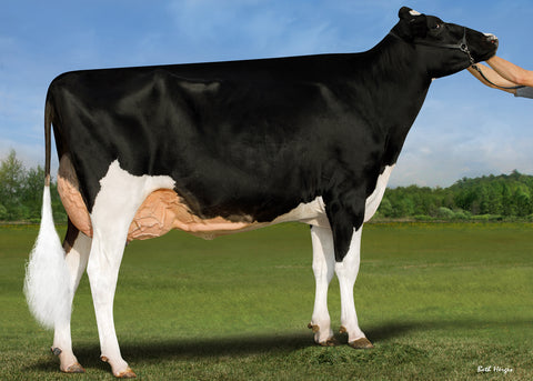 Ms GS Caught Your Heart-ET EX-91-3YR