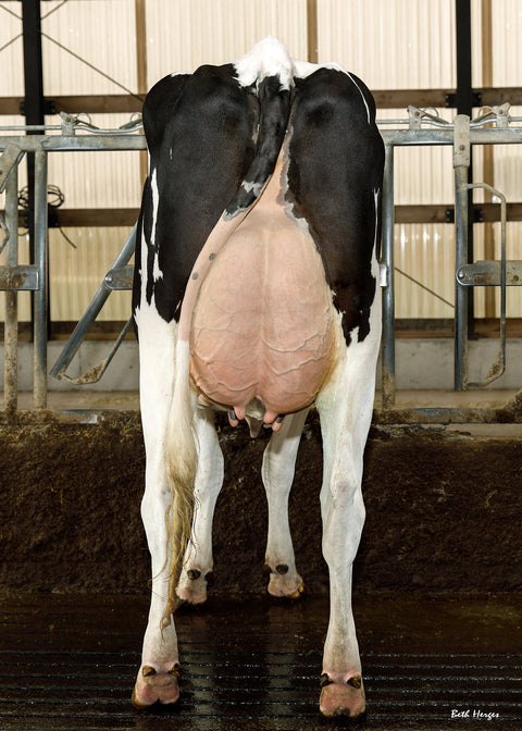 Cal-Denier-I Throw Down-ET VG-87 (88-MS)