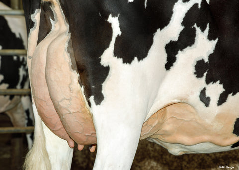 Cal-Denier-I Throw Down-ET VG-87 (88-MS)