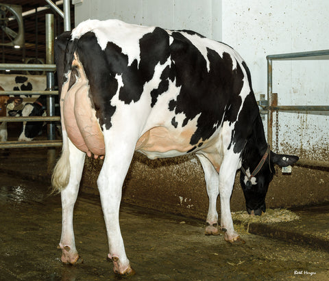 Cal-Denier-I Throw Down-ET VG-87 (88-MS)