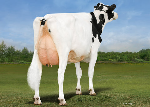 Ms GS Caught Some Heat-ET EX-92-3YR 92-MS