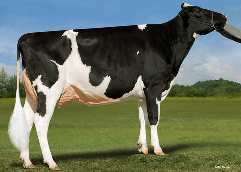 Genosource High Cotton-ET VG-86 EX-MS