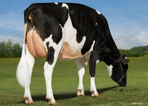 Genosource High Cotton-ET VG-86 EX-MS