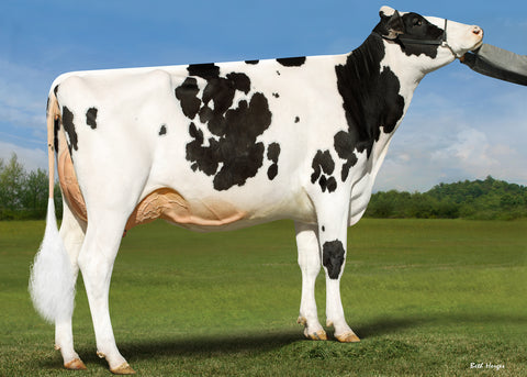 Genosource Pandoras Box-ET VG-87 VG-MS
