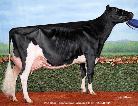 Kingsway Josephine-ET EX-91