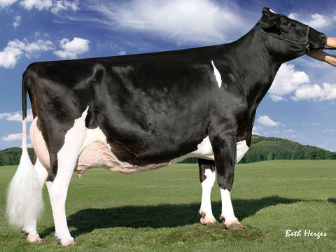 Farnear Babes Cry-ET EX-94